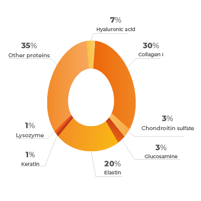 JOINT_egg_shell_membrane.png