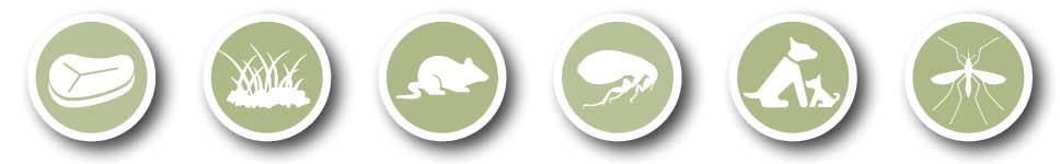 Teaser_banner_968x300px_ormesmitte.jpg