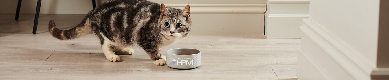 Oppdag HPM kattefôr