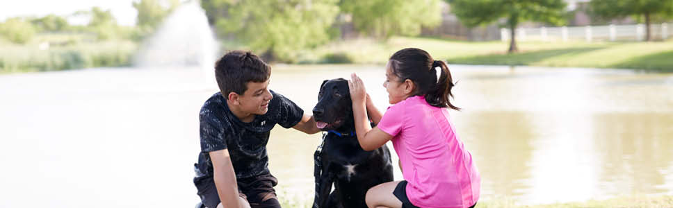 Teaser_banner_968x300px_hundeprodukter2.jpg