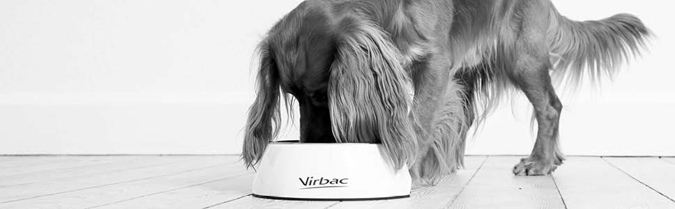 Hvorfor bør du velge VETERINARY HPM<sup><sup>®</sup> </sup>JOINT?