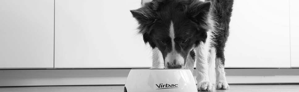 Les mer om Virbacs fôr til hunder med leddproblemer