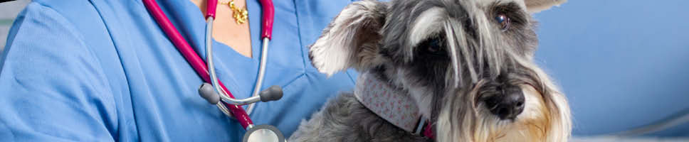 VETERINÆRENS WEBSHOP