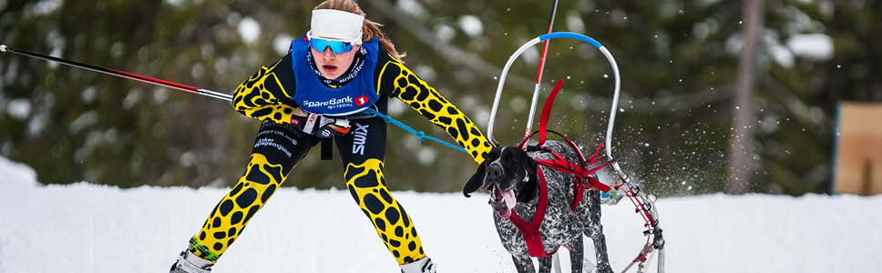 Tips fra våre HPM ambassadører