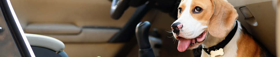 Her finner du flere reisetips